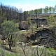 ЦИЛЬНИНСКИЙ РАЙОН. Лидия Романова. Овраг в лесу близ села Тимофеевка
